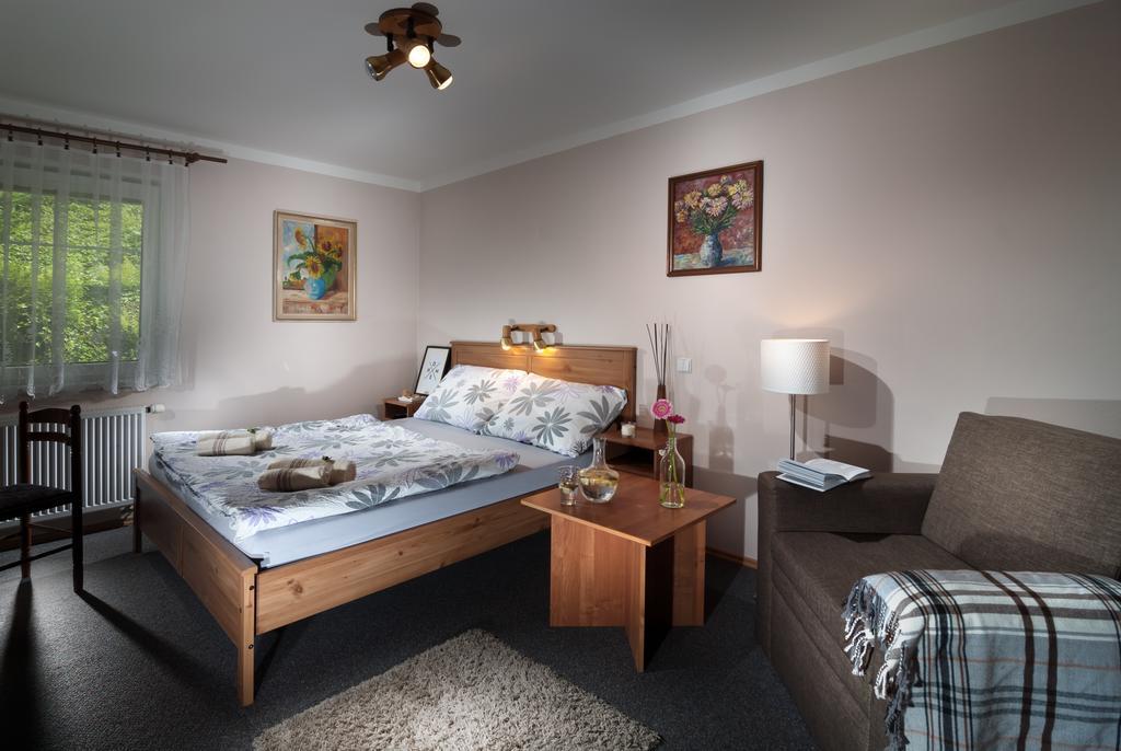 Pension Luky Spindleruv Mlyn Room photo